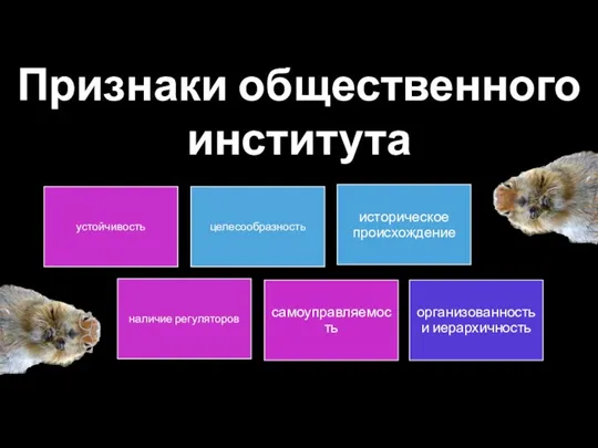 Признаки общественного института устойчивость целесообразность наличие регуляторов