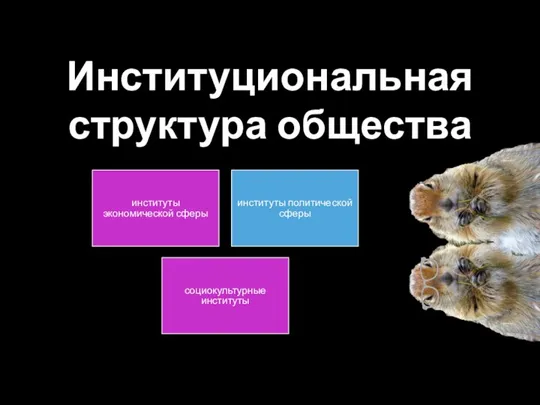 Институциональная структура общества институты экономической сферы институты политической сферы социокультурные институты