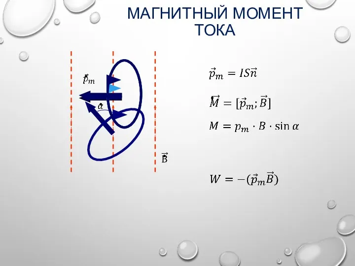 МАГНИТНЫЙ МОМЕНТ ТОКА