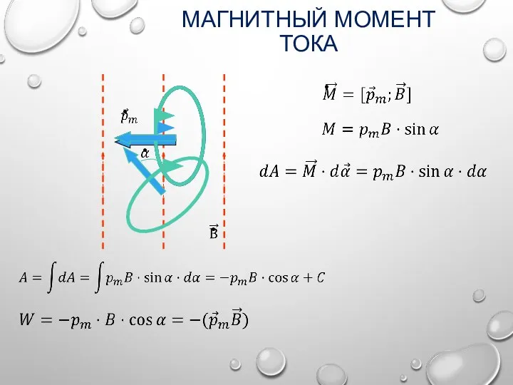 МАГНИТНЫЙ МОМЕНТ ТОКА