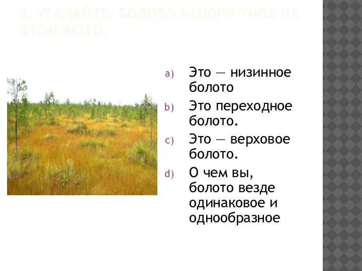 6. УГАДАЙТЕ, БОЛОТО КАКОГО ТИПА НА ЭТОМ ФОТО. Это — низинное болото