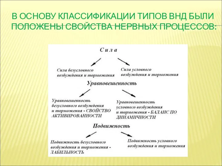 В ОСНОВУ КЛАССИФИКАЦИИ ТИПОВ ВНД БЫЛИ ПОЛОЖЕНЫ СВОЙСТВА НЕРВНЫХ ПРОЦЕССОВ: