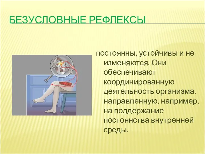 БЕЗУСЛОВНЫЕ РЕФЛЕКСЫ постоянны, устойчивы и не изменяются. Они обеспечивают координированную деятельность организма,