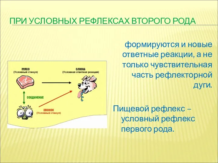 ПРИ УСЛОВНЫХ РЕФЛЕКСАХ ВТОРОГО РОДА формируются и новые ответные реакции, а не