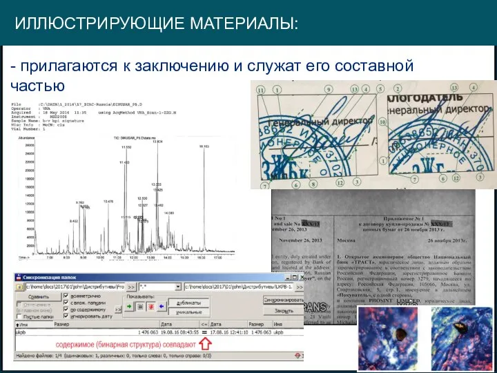 ИЛЛЮСТРИРУЮЩИЕ МАТЕРИАЛЫ: - прилагаются к заключению и служат его составной частью .