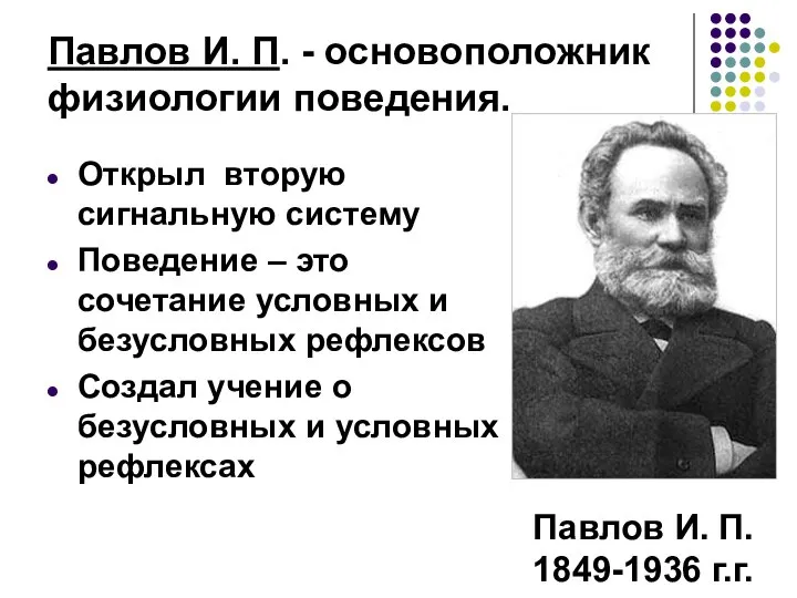 Павлов И. П. - основоположник физиологии поведения. Павлов И. П. 1849-1936 г.г.