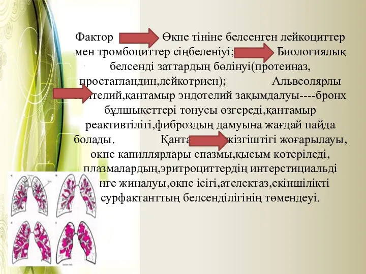 Фактор Өкпе тініне белсенген лейкоциттер мен тромбоциттер сіңбеленіуі; Биологиялық белсенді заттардың бөлінуі(протеиназ,простагландин,лейкотриен);