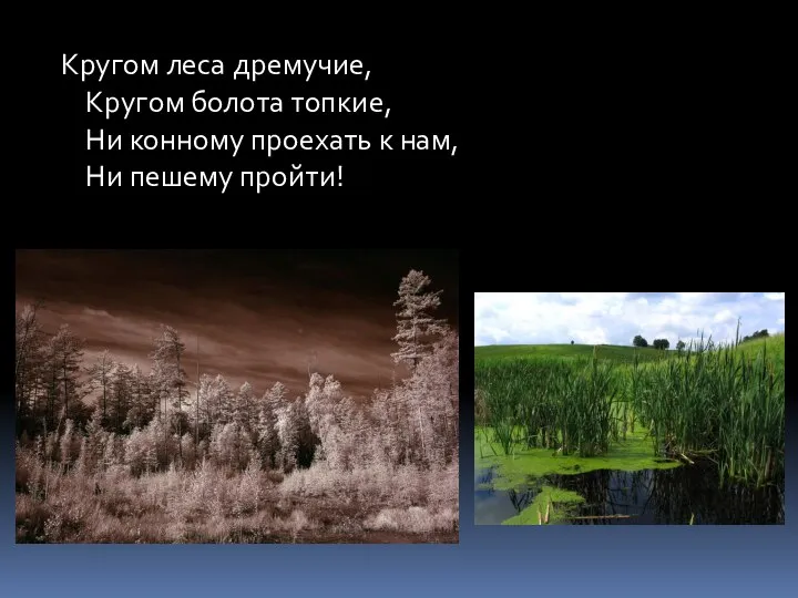 Кругом леса дремучие, Кругом болота топкие, Ни конному проехать к нам, Ни пешему пройти!