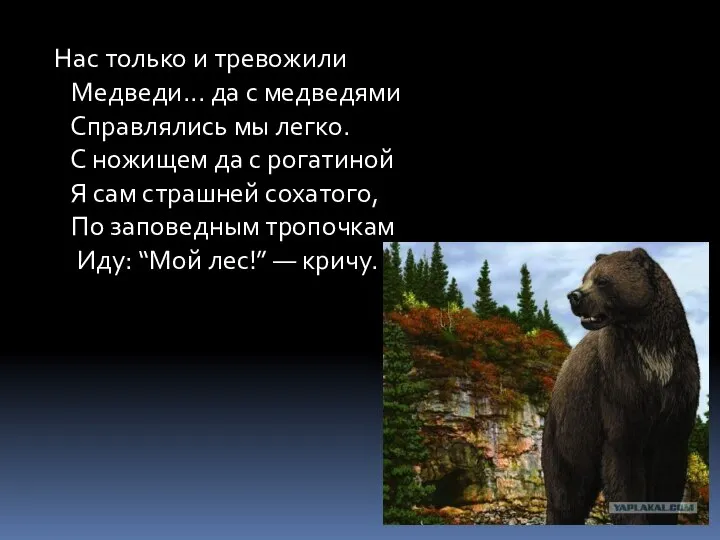 Нас только и тревожили Медведи... да с медведями Справлялись мы легко. С