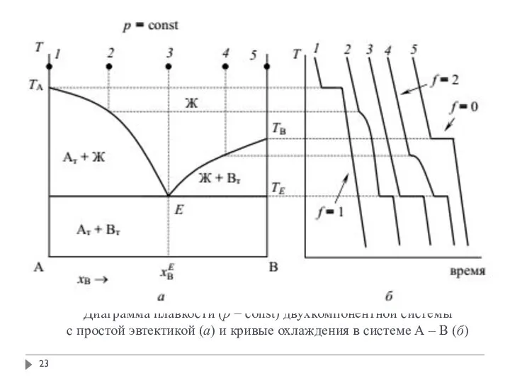 Диаграмма плавкости (p = const) двухкомпонентной системы с простой эвтектикой (а) и