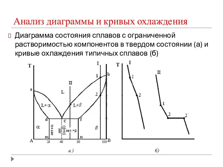Анализ диаграммы и кривых охлаждения Диаграмма состояния сплавов с ограниченной растворимостью компонентов