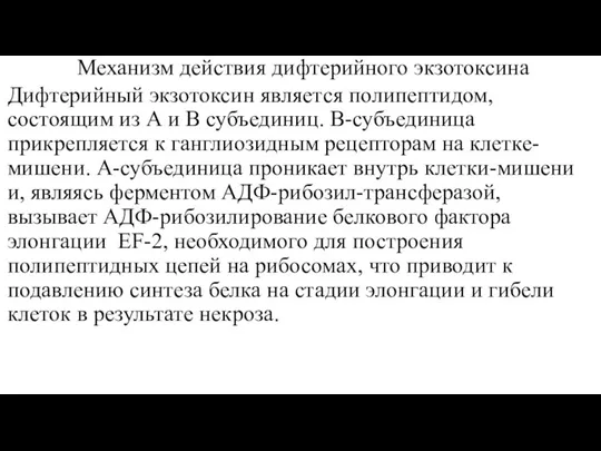 Механизм действия дифтерийного экзотоксина Дифтерийный экзотоксин является полипептидом, состоящим из А и