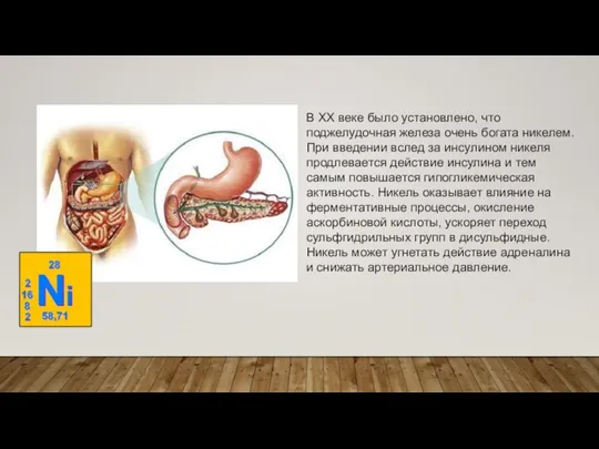 В XX веке было установлено, что поджелудочная железа очень богата никелем. При