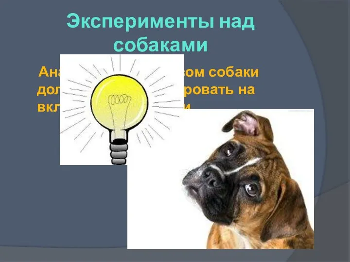 Эксперименты над собаками Аналогичным образом собаки должны были реагировать на включение лампочки