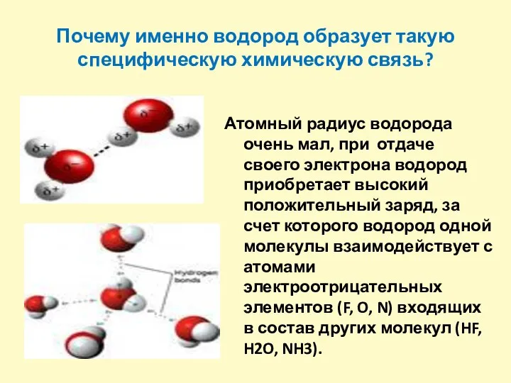 Почему именно водород образует такую специфическую химическую связь? Атомный радиус водорода очень