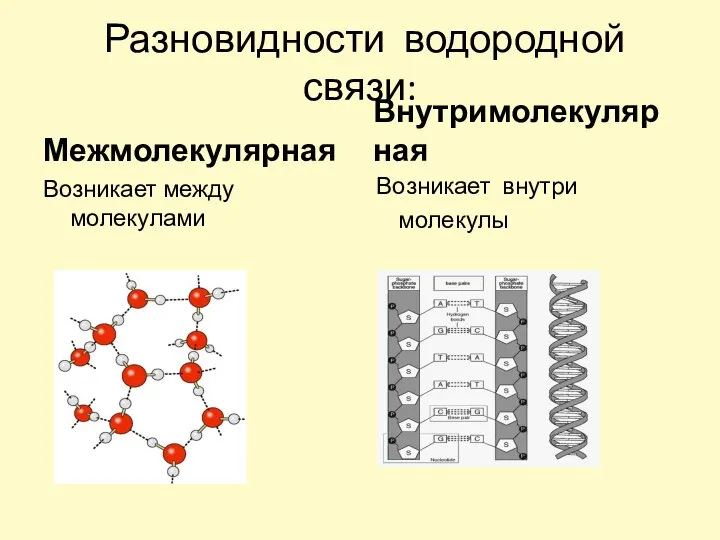 Разновидности водородной связи: Межмолекулярная Возникает между молекулами Внутримолекулярная Возникает внутри молекулы