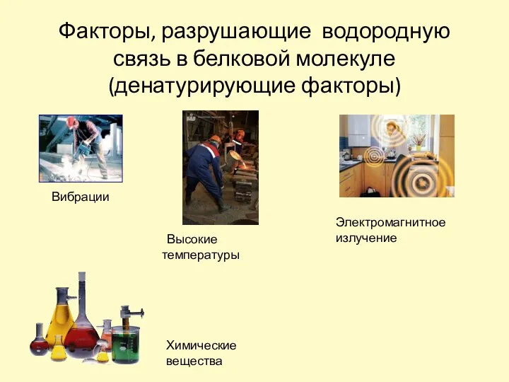 Факторы, разрушающие водородную связь в белковой молекуле (денатурирующие факторы) Электромагнитное излучение Вибрации Высокие температуры Химические вещества