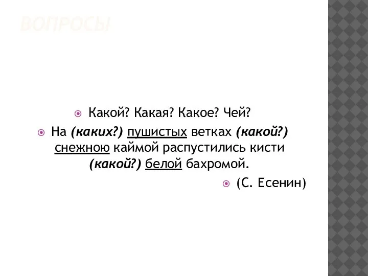 ВОПРОСЫ Какой? Какая? Какое? Чей? На (каких?) пушистых ветках (какой?) снежною каймой