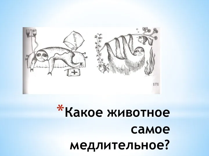 Какое животное самое медлительное?