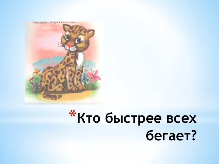 Кто быстрее всех бегает?