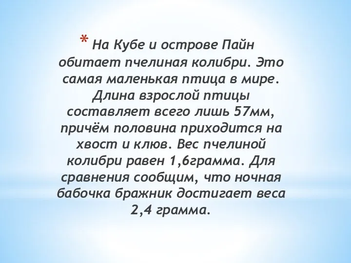 На Кубе и острове Пайн обитает пчелиная колибри. Это самая маленькая птица