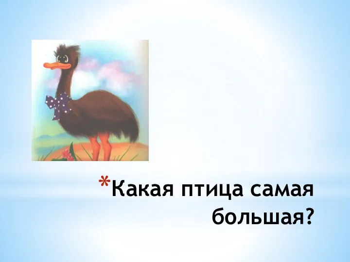 Какая птица самая большая?