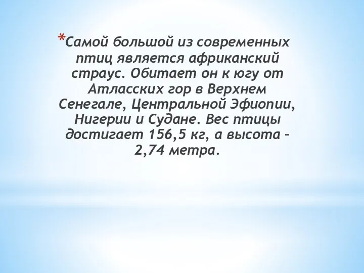 Самой большой из современных птиц является африканский страус. Обитает он к югу