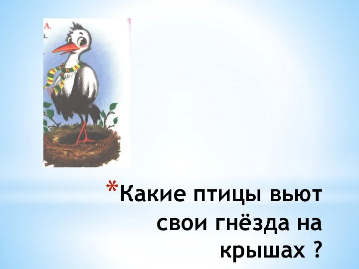 Какие птицы вьют свои гнёзда на крышах ?