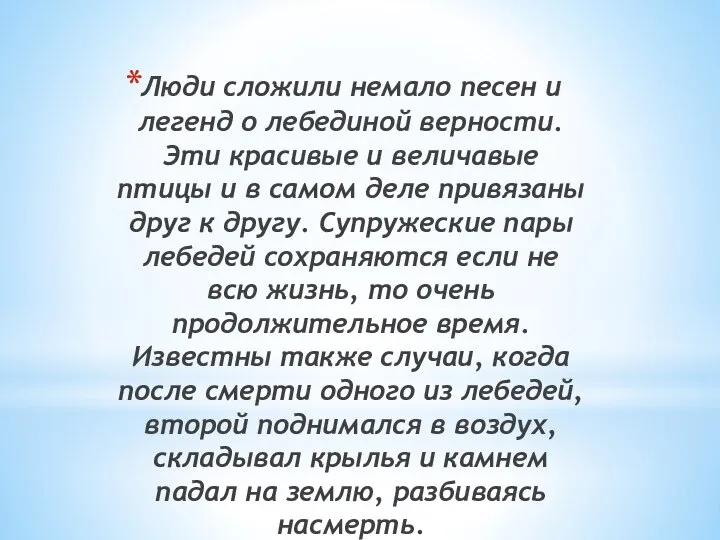 Люди сложили немало песен и легенд о лебединой верности. Эти красивые и