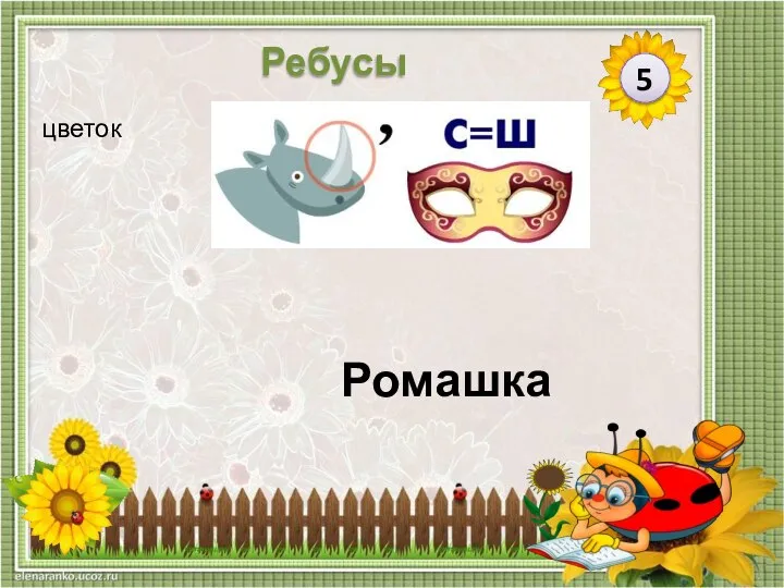 Ромашка цветок 5 Ребусы