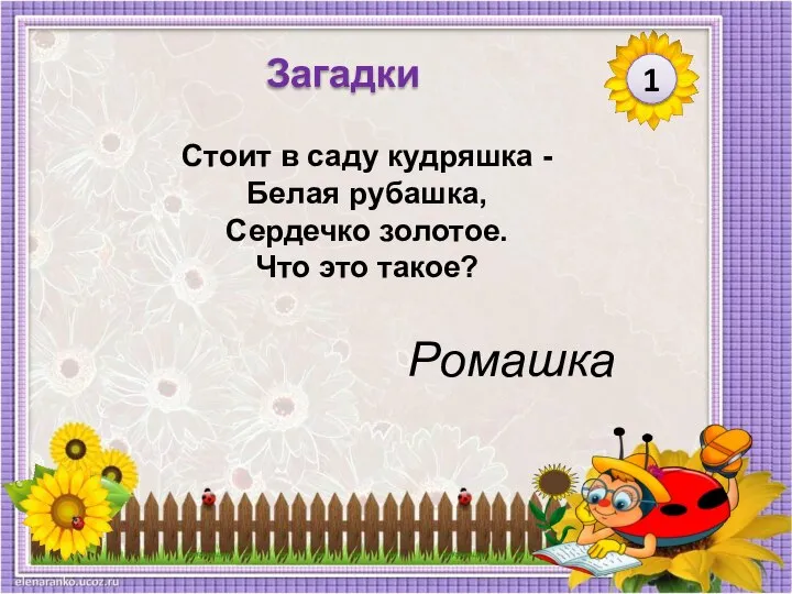 Ромашка Стоит в саду кудряшка - Белая рубашка, Сердечко золотое. Что это такое? 1 Загадки