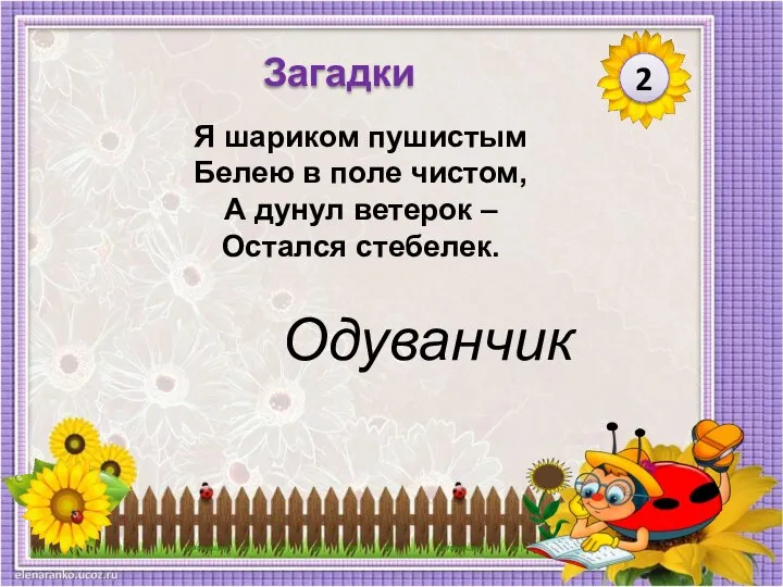 Одуванчик Я шариком пушистым Белею в поле чистом, А дунул ветерок – Остался стебелек. 2 Загадки