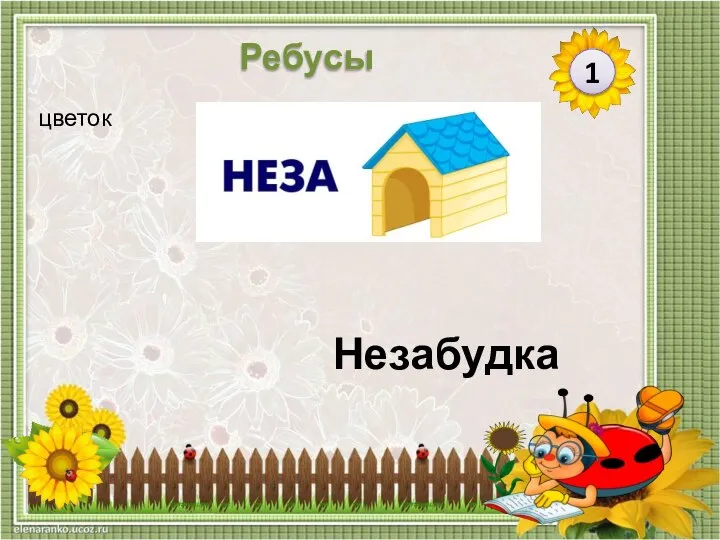 Незабудка цветок 1 Ребусы