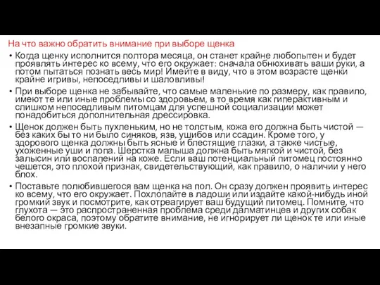 На что важно обратить внимание при выборе щенка Когда щенку исполнится полтора