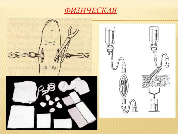 ФИ3ИЧЕСКАЯ