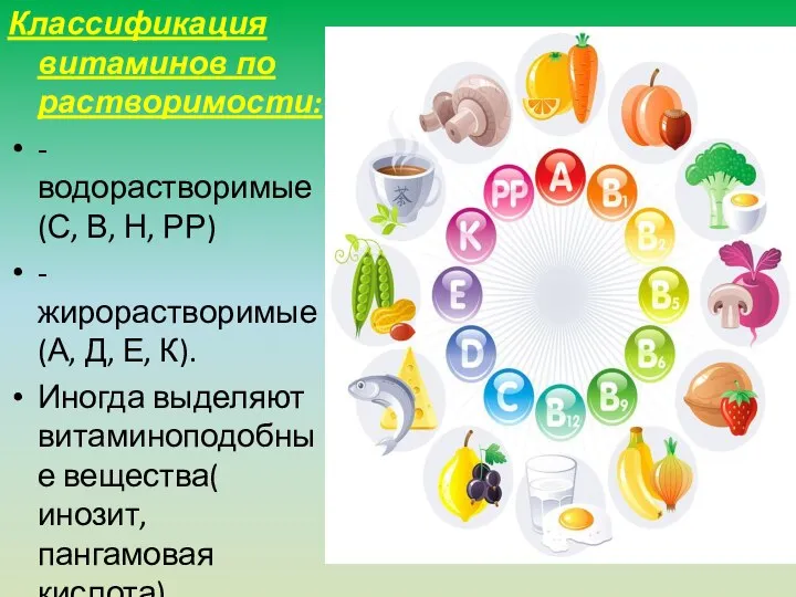 Классификация витаминов по растворимости: - водорастворимые (С, В, Н, РР) - жирорастворимые