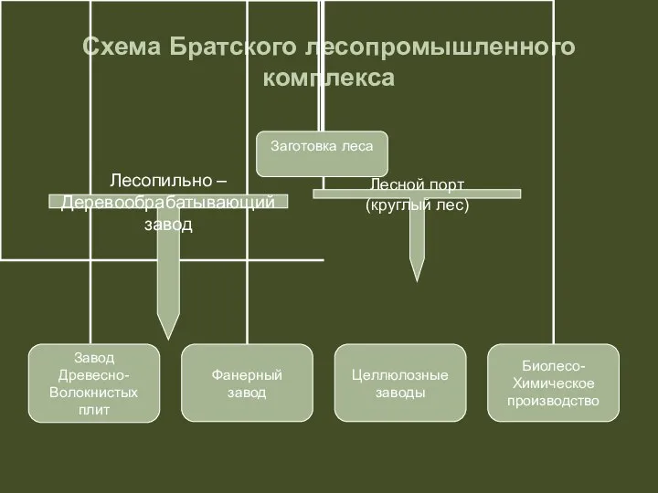 Схема Братского лесопромышленного комплекса Лесной порт (круглый лес) Лесопильно – Деревообрабатывающий завод