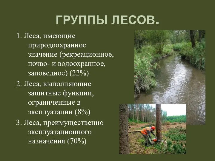 ГРУППЫ ЛЕСОВ. 1. Леса, имеющие природоохранное значение (рекреационное, почво- и водоохранное, заповедное)