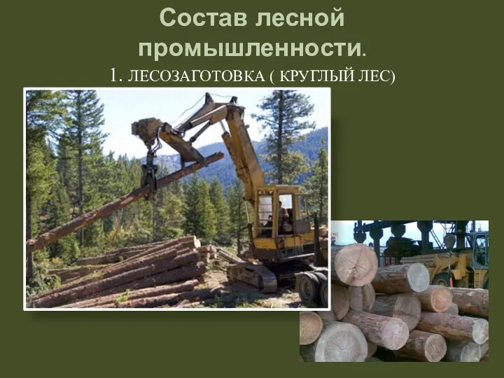 Состав лесной промышленности. 1. ЛЕСОЗАГОТОВКА ( КРУГЛЫЙ ЛЕС)