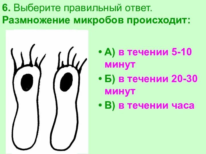 6. Выберите правильный ответ. Размножение микробов происходит: А) в течении 5-10 минут