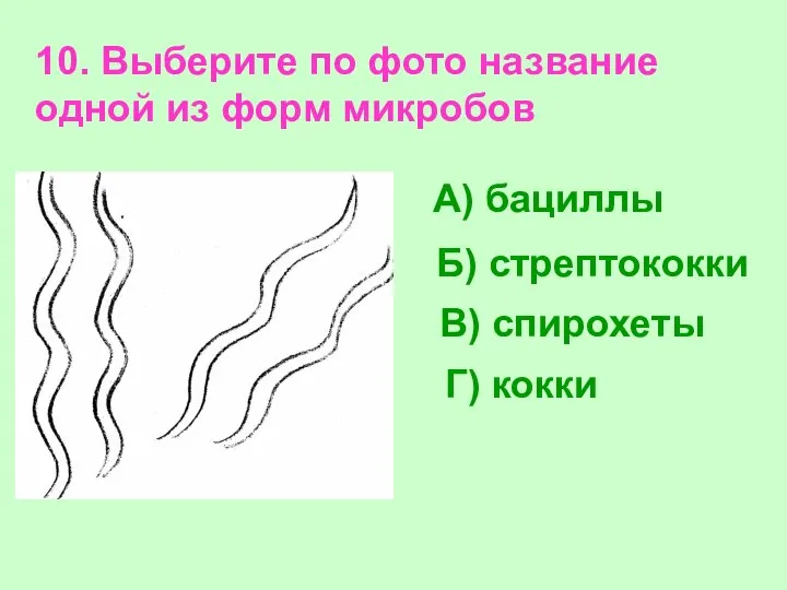 10. Выберите по фото название одной из форм микробов Б) стрептококки Г)