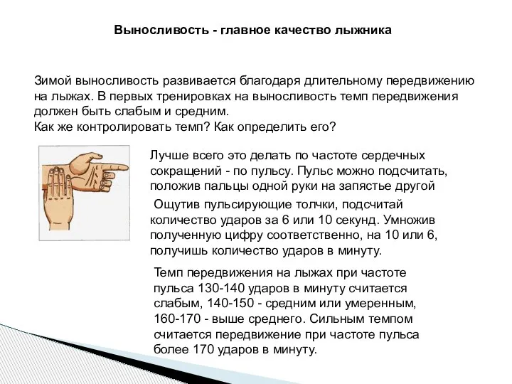 Выносливость - главное качество лыжника Зимой выносливость развивается благодаря длительному передвижению на