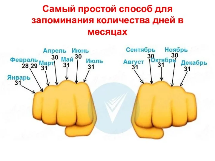 Самый простой способ для запоминания количества дней в месяцах