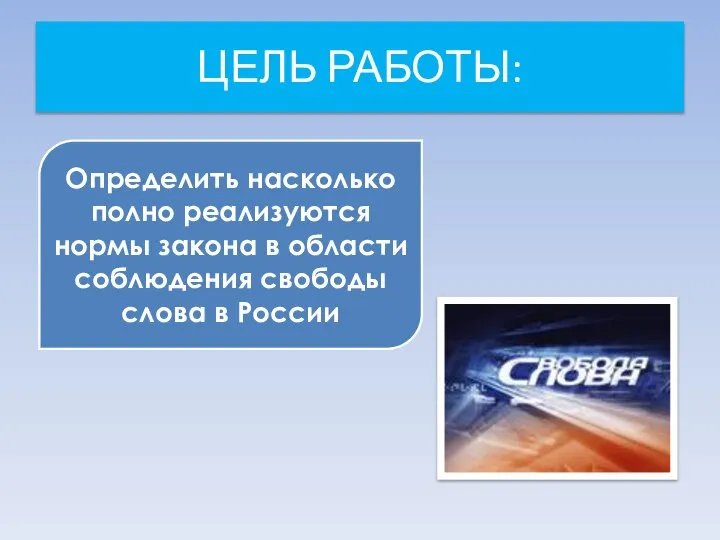 ЦЕЛЬ РАБОТЫ: Определить насколько полно реализуются нормы закона в области соблюдения свободы слова в России