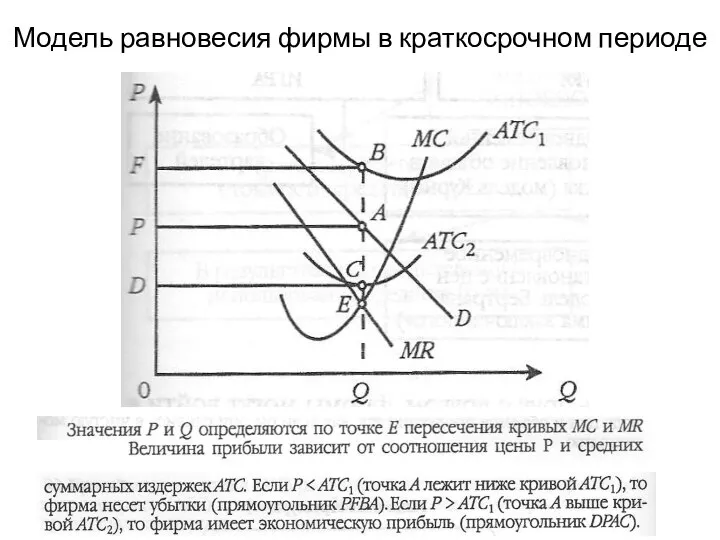 Модель равновесия фирмы в краткосрочном периоде