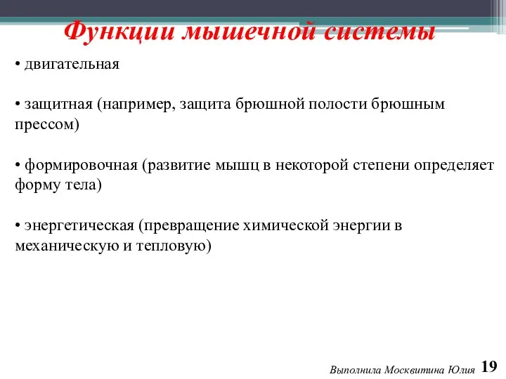 19 Выполнила Москвитина Юлия Функции мышечной системы • двигательная • защитная (например,