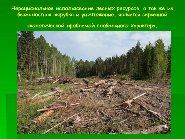 Нерациональное использование лесных ресурсов, а так же их безжалостная вырубка и уничтожение,