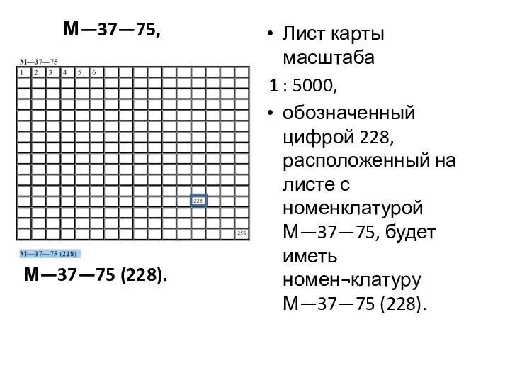 Лист карты масштаба 1 : 5000, обозначенный цифрой 228, расположенный на листе