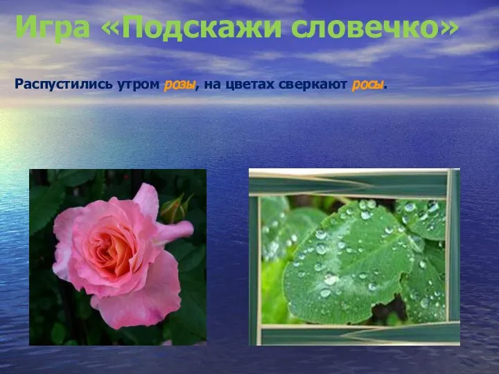 Игра «Подскажи словечко» Распустились утром розы, на цветах сверкают росы.