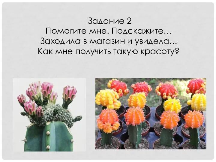 Задание 2 Помогите мне. Подскажите… Заходила в магазин и увидела… Как мне получить такую красоту?